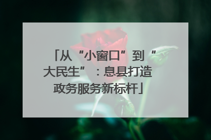 从“小窗口”到“大民生”：息县打造政务服务新标杆
